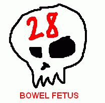 Bowel Fetus : 28 Tracks of Bullshit Promo 3-inch CD-R